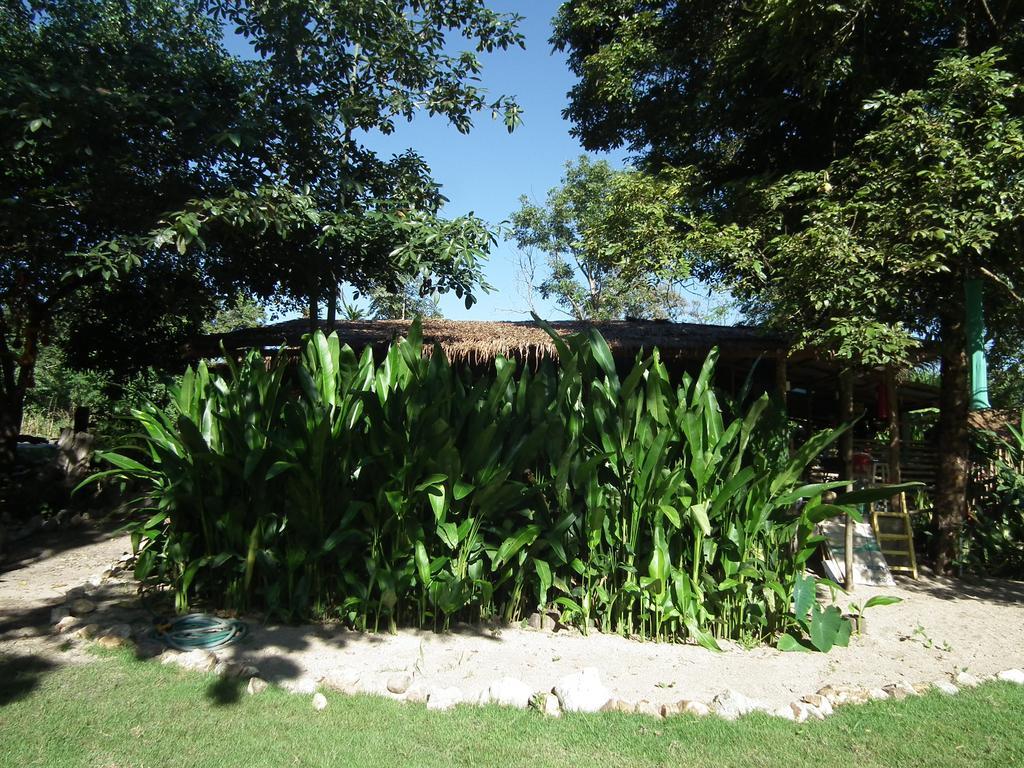 Pai Bamboo Hut Otel Dış mekan fotoğraf