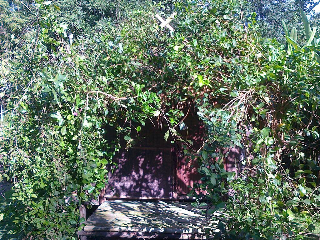 Pai Bamboo Hut Otel Oda fotoğraf