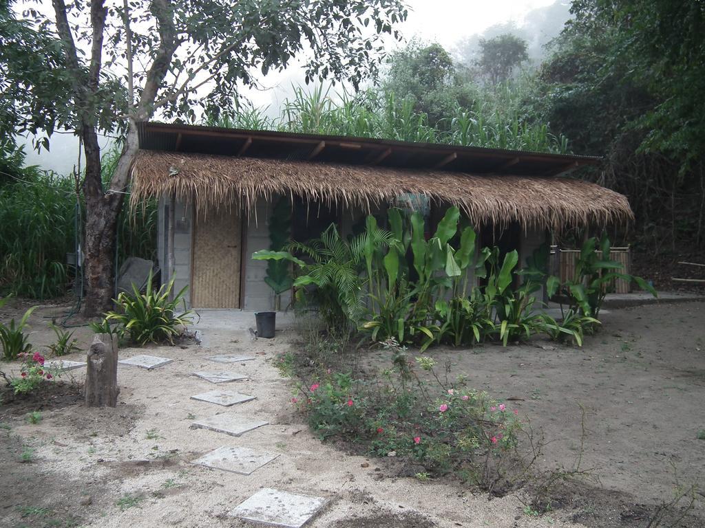 Pai Bamboo Hut Otel Oda fotoğraf