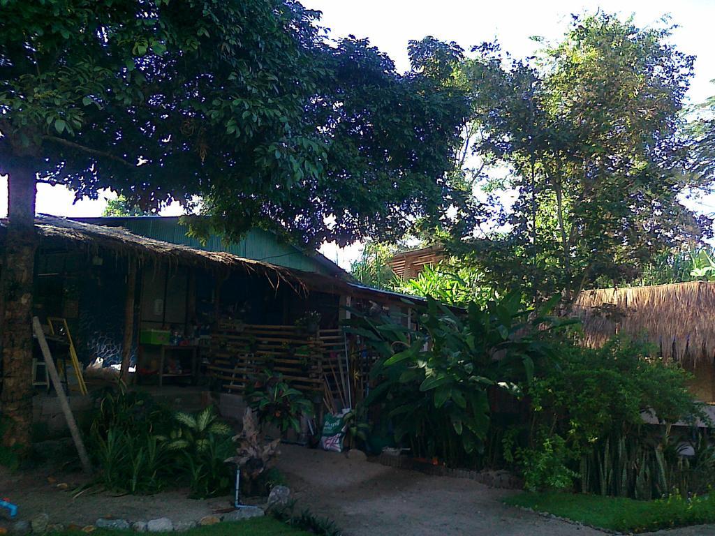 Pai Bamboo Hut Otel Dış mekan fotoğraf