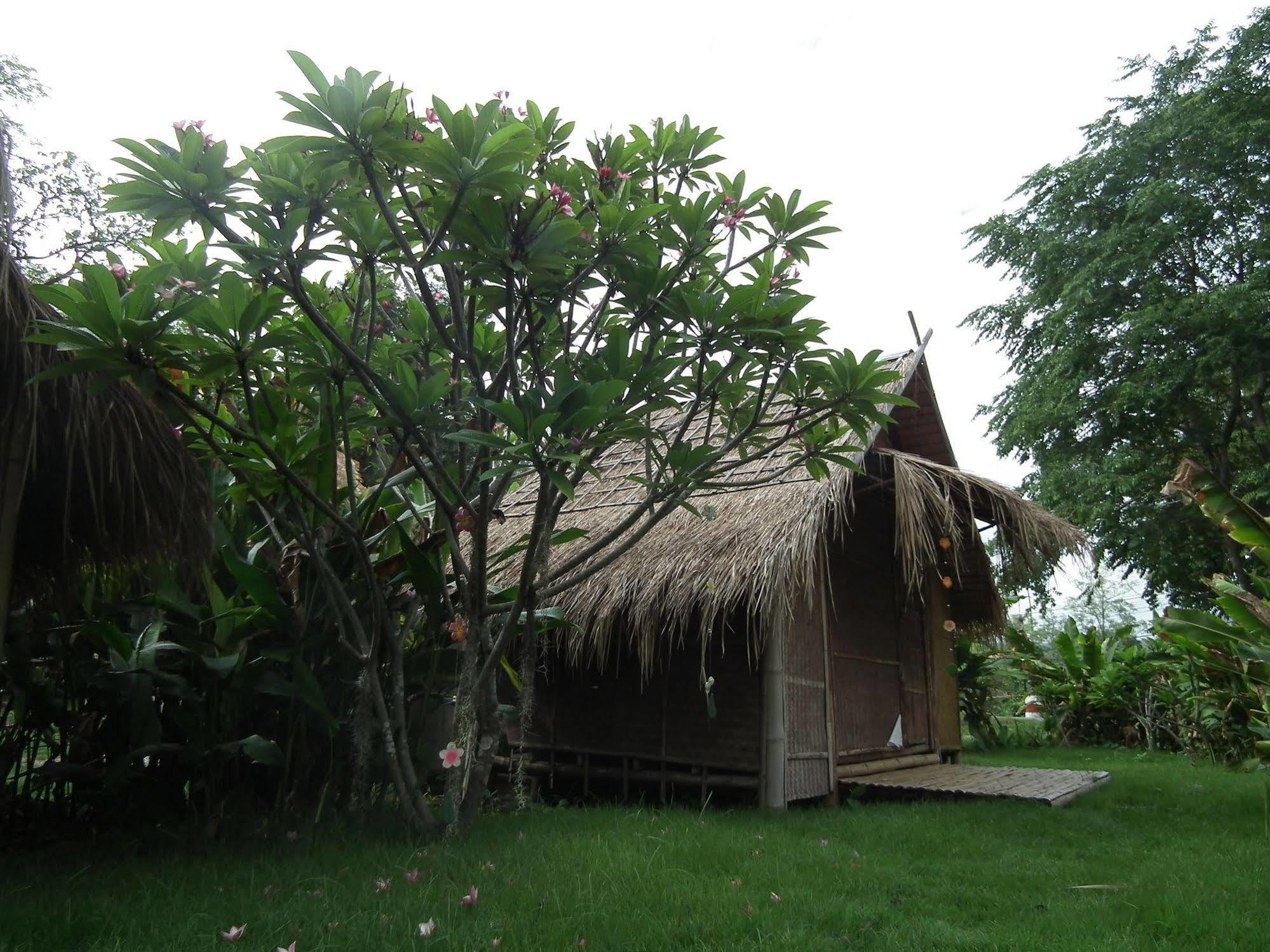 Pai Bamboo Hut Otel Dış mekan fotoğraf