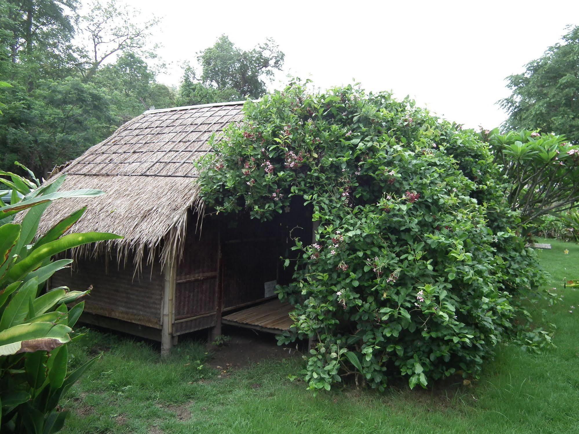 Pai Bamboo Hut Otel Dış mekan fotoğraf